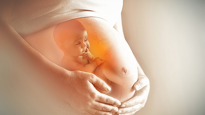 Pregnancy