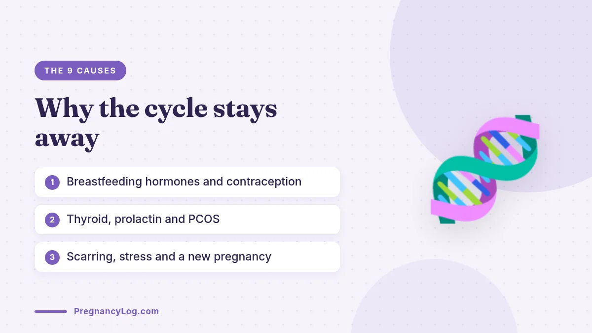 9 Reasons a Postpartum Period Is Missing Nine reasons a period has not returned after birth including breastfeeding and thyroid problems