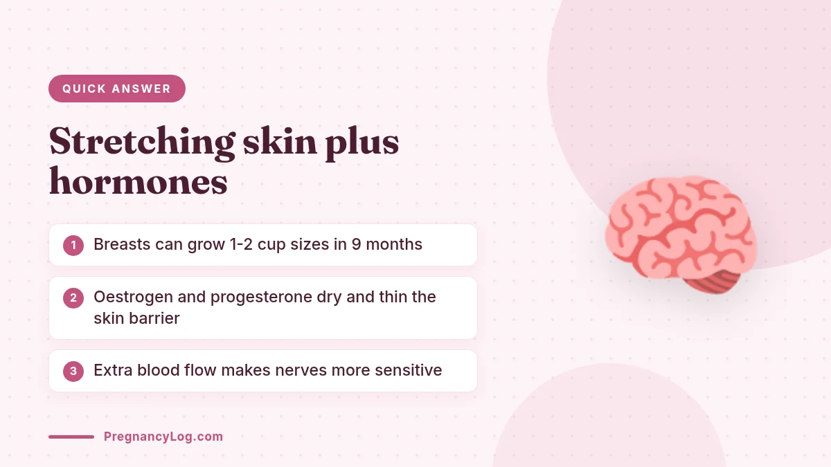 Why Nipples Itch During Pregnancy Why nipples itch during pregnancy - stretching skin, hormones and dryness