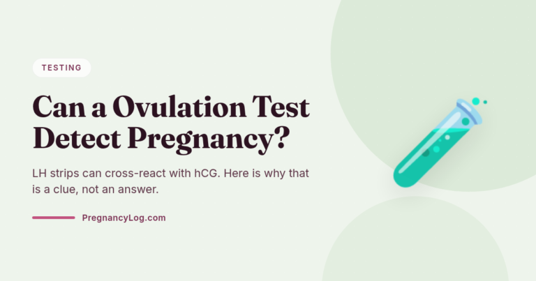 Can a Ovulation Test Detect Pregnancy? 7 Best Facts 6 Can a Ovulation Test Detect Pregnancy? 7 Best Facts